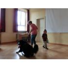 2017_08_08_hundestunde (6).jpg